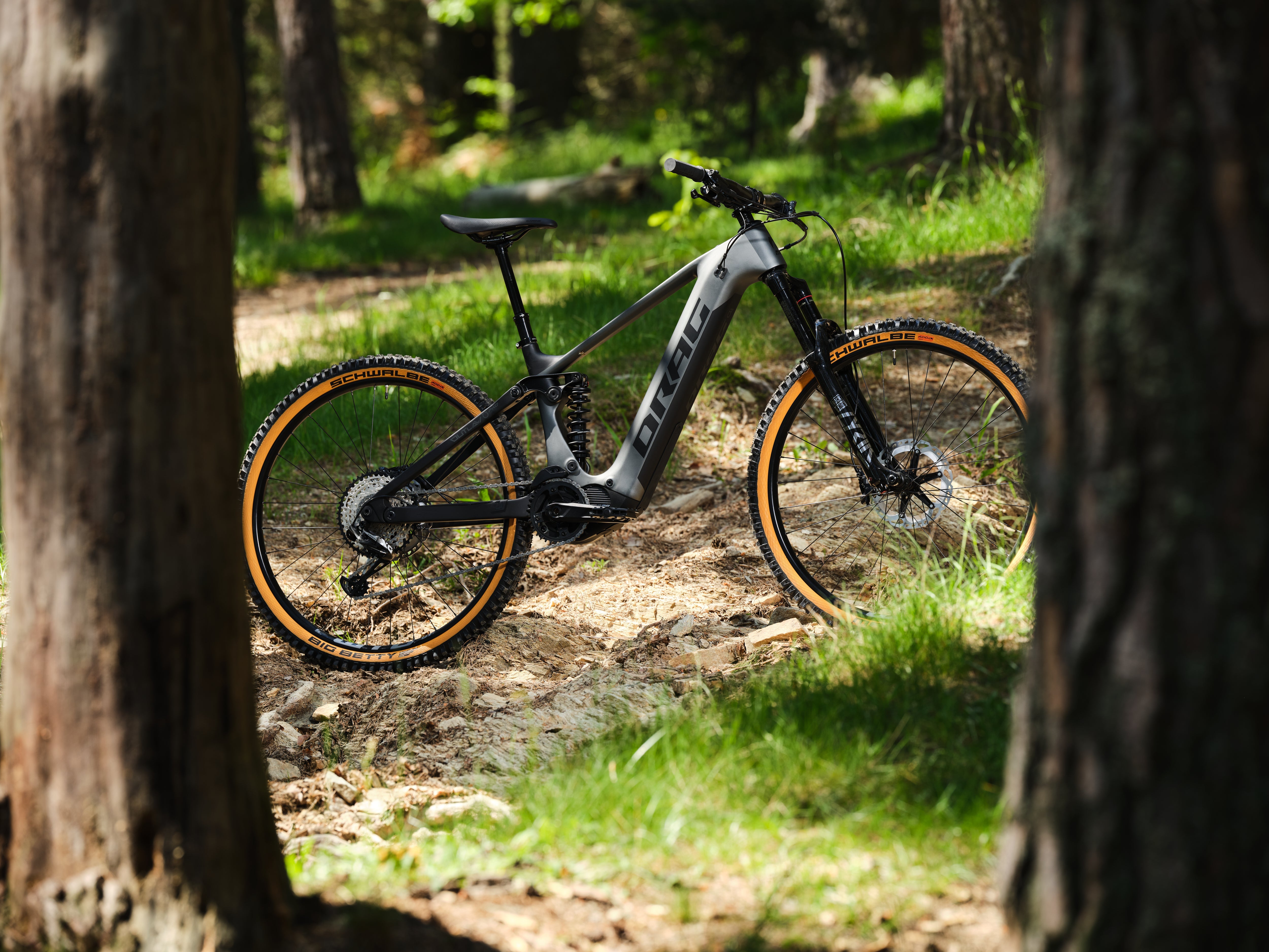 E-MTB