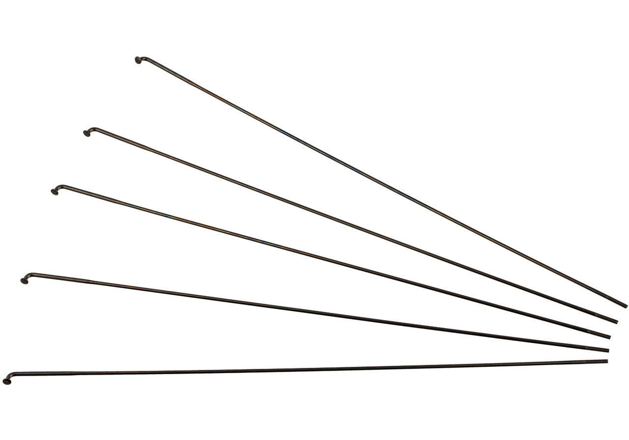 03005113