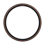 12030561