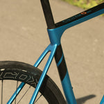 12010295