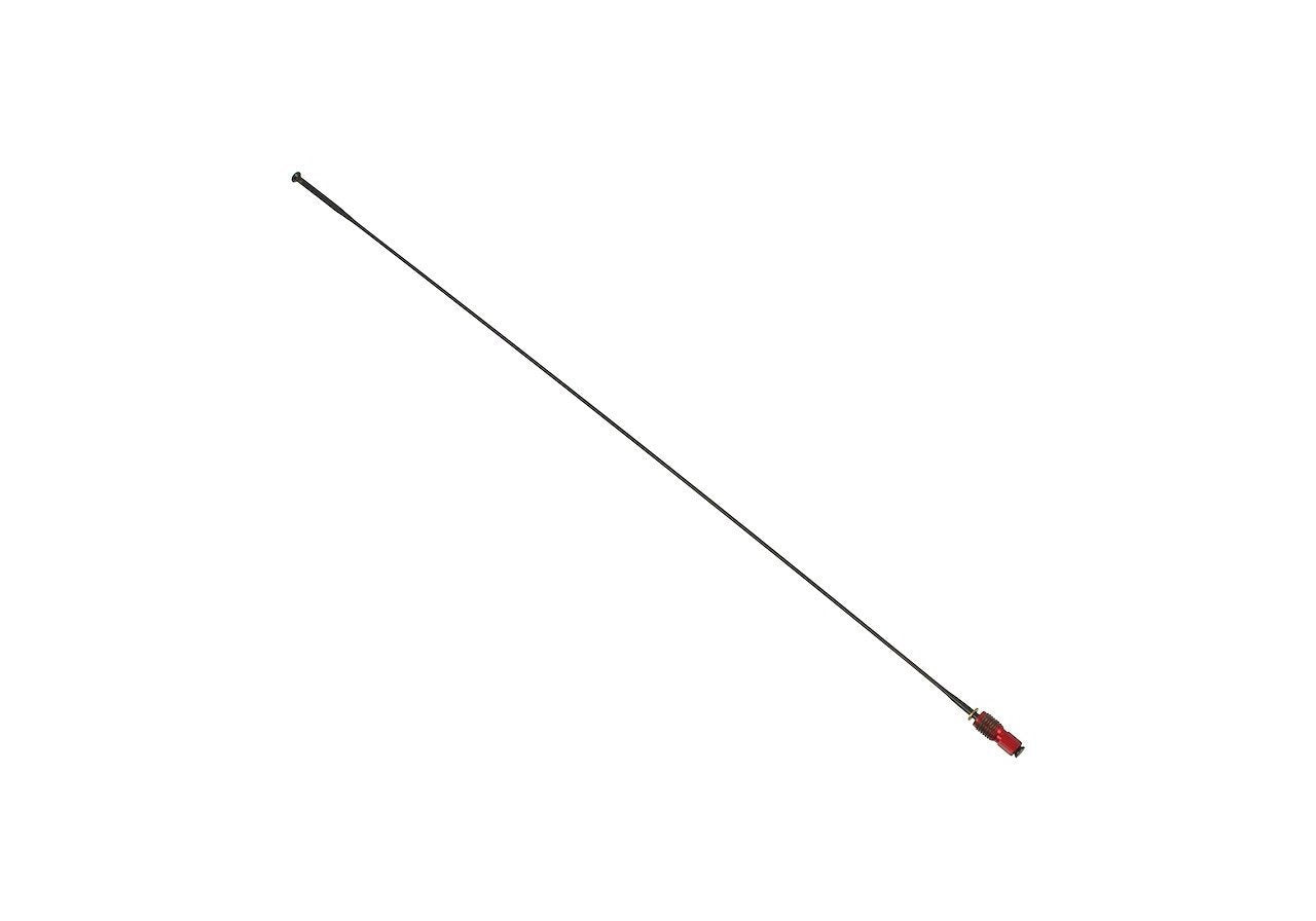 03005079