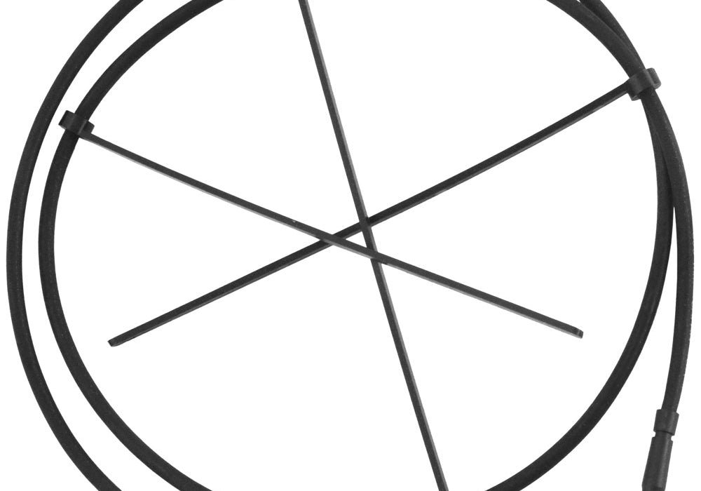 12030598