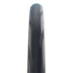 12030561