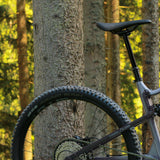 01002062