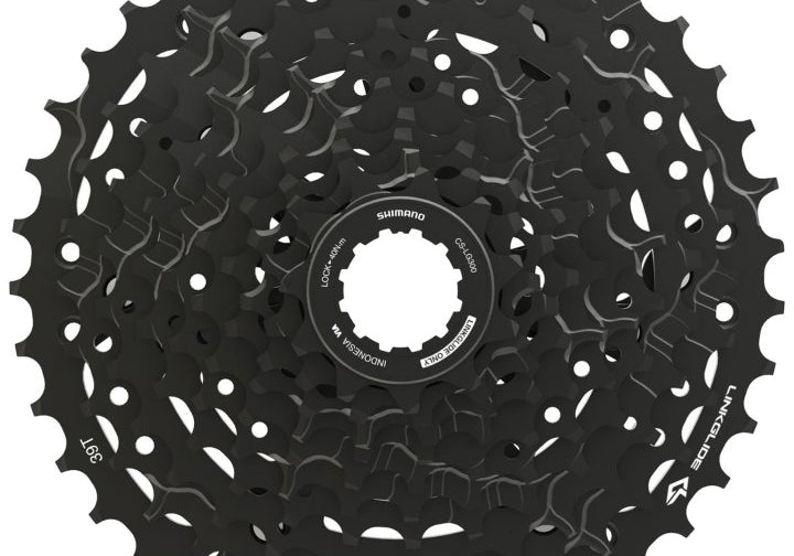 03013355